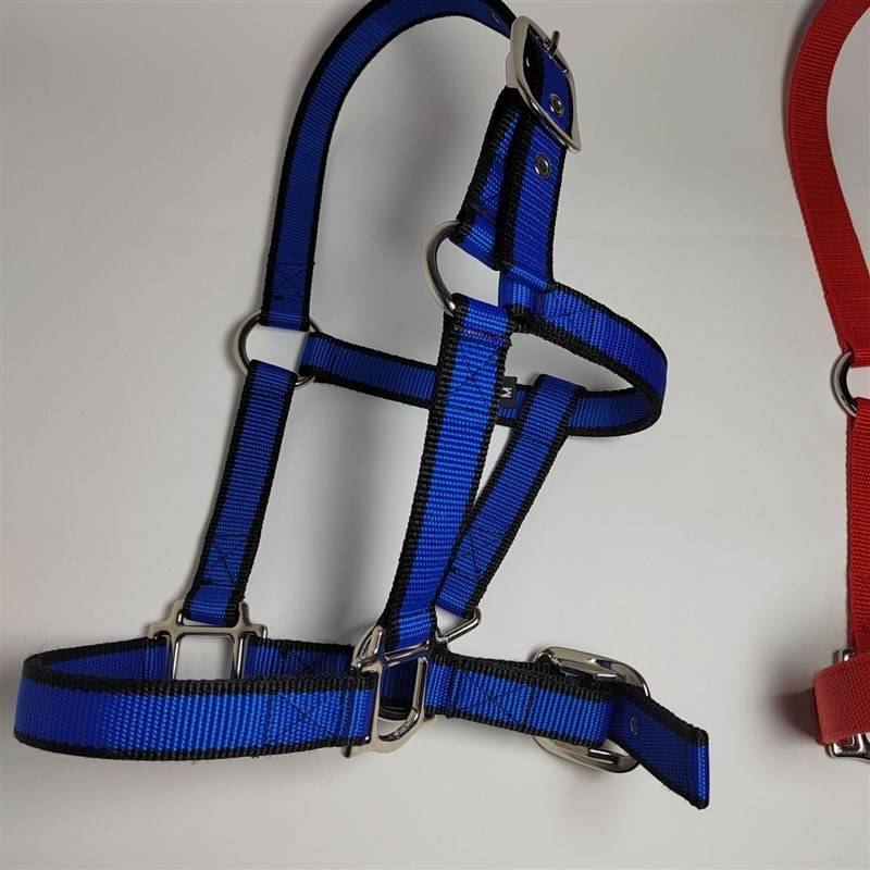 Blue Triple S Code (under shoulder height of 1 m)-L55