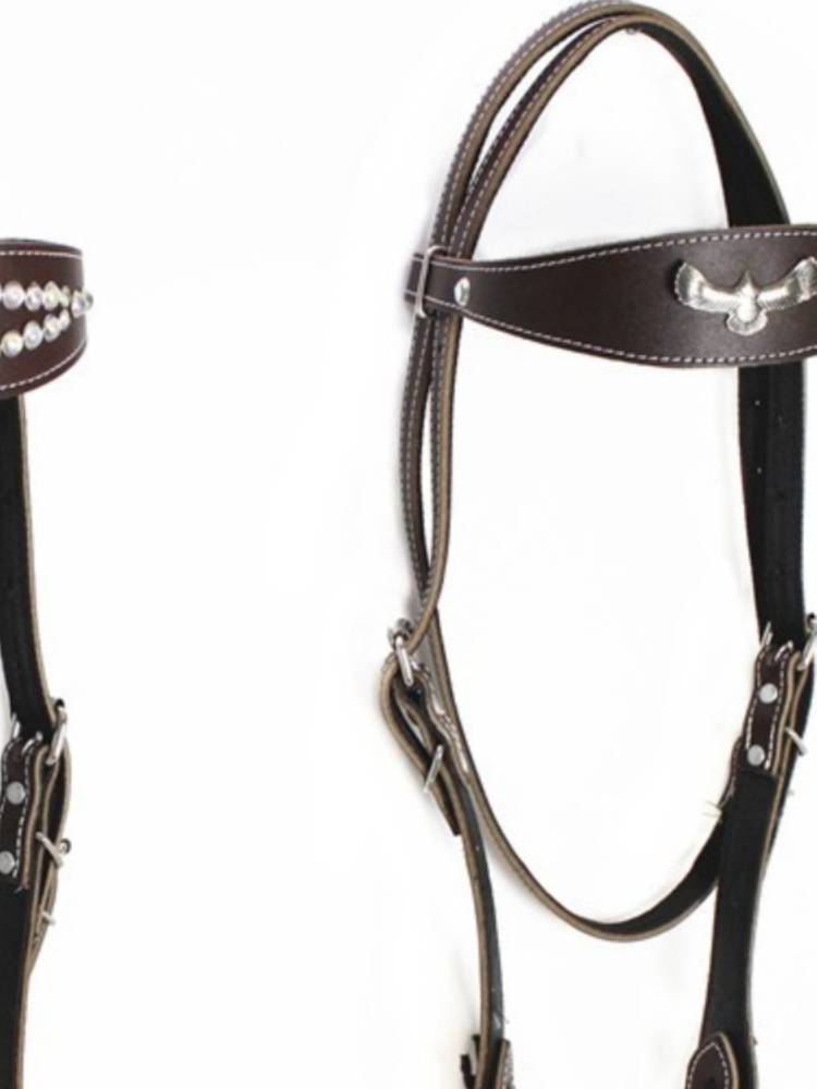 The horse's head is full of tweezers and tweezers for the horse's head