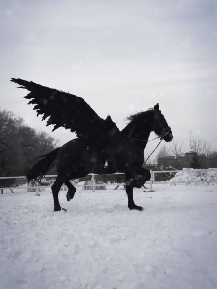 Flying horse electron stretching wirelessly with a saddled horse