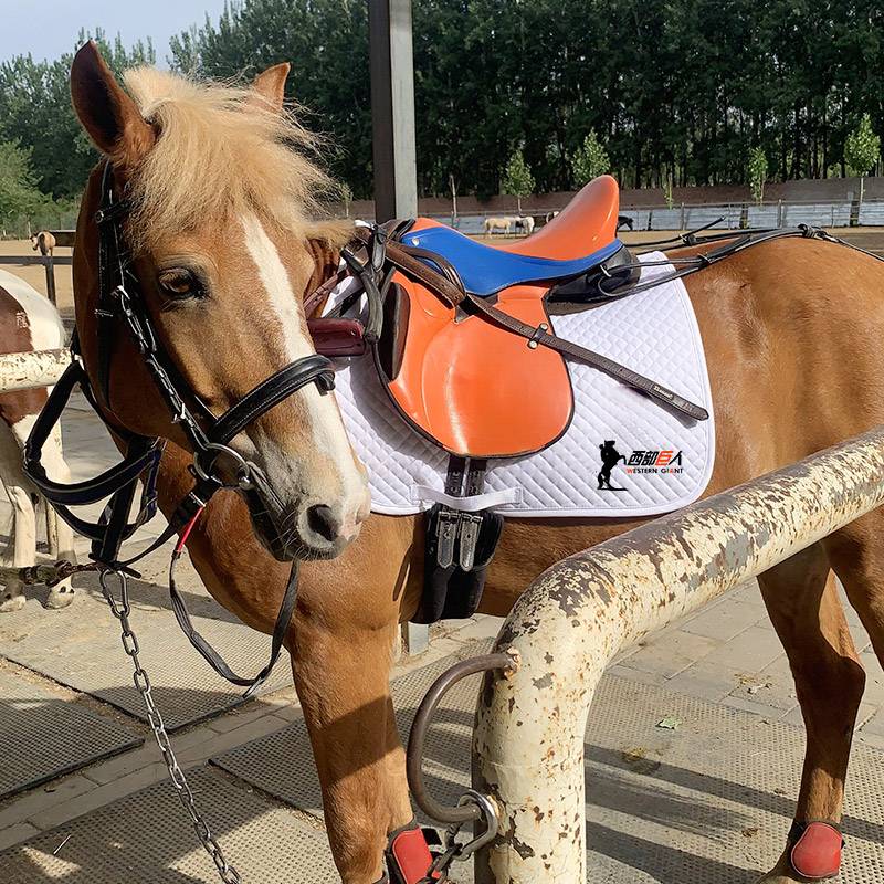 Germany Mati Color Children's saddle Daebao Saddle Tibetan handle British saddle -up equestrian horse horses