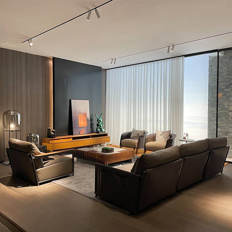 Italian light luxury TV cabinet saddling skin hard skin modern designer Fidelio high -end walnut wood audition cabinet