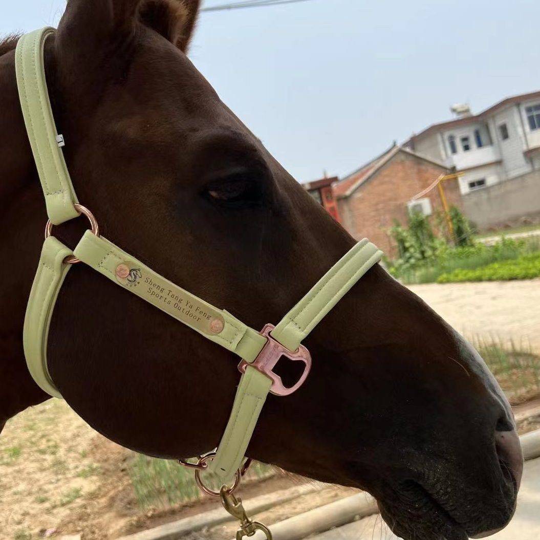 A horse's head with a saddle and a horse's horse