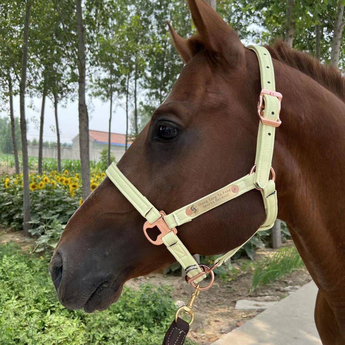 A horse's head with a saddle and a horse's horse