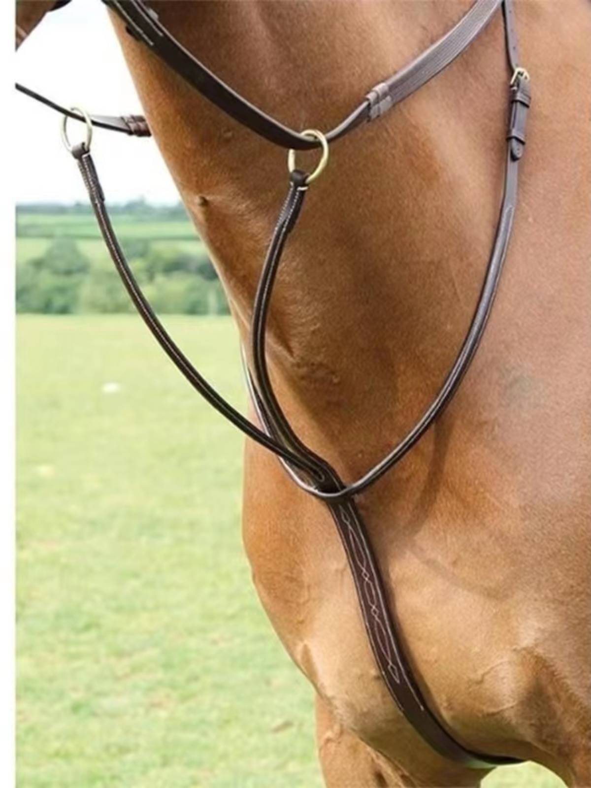Cruckets bowed head -up chest with triangular saddle accessories equestrian equipment horse equipment horses equipment horses equipment