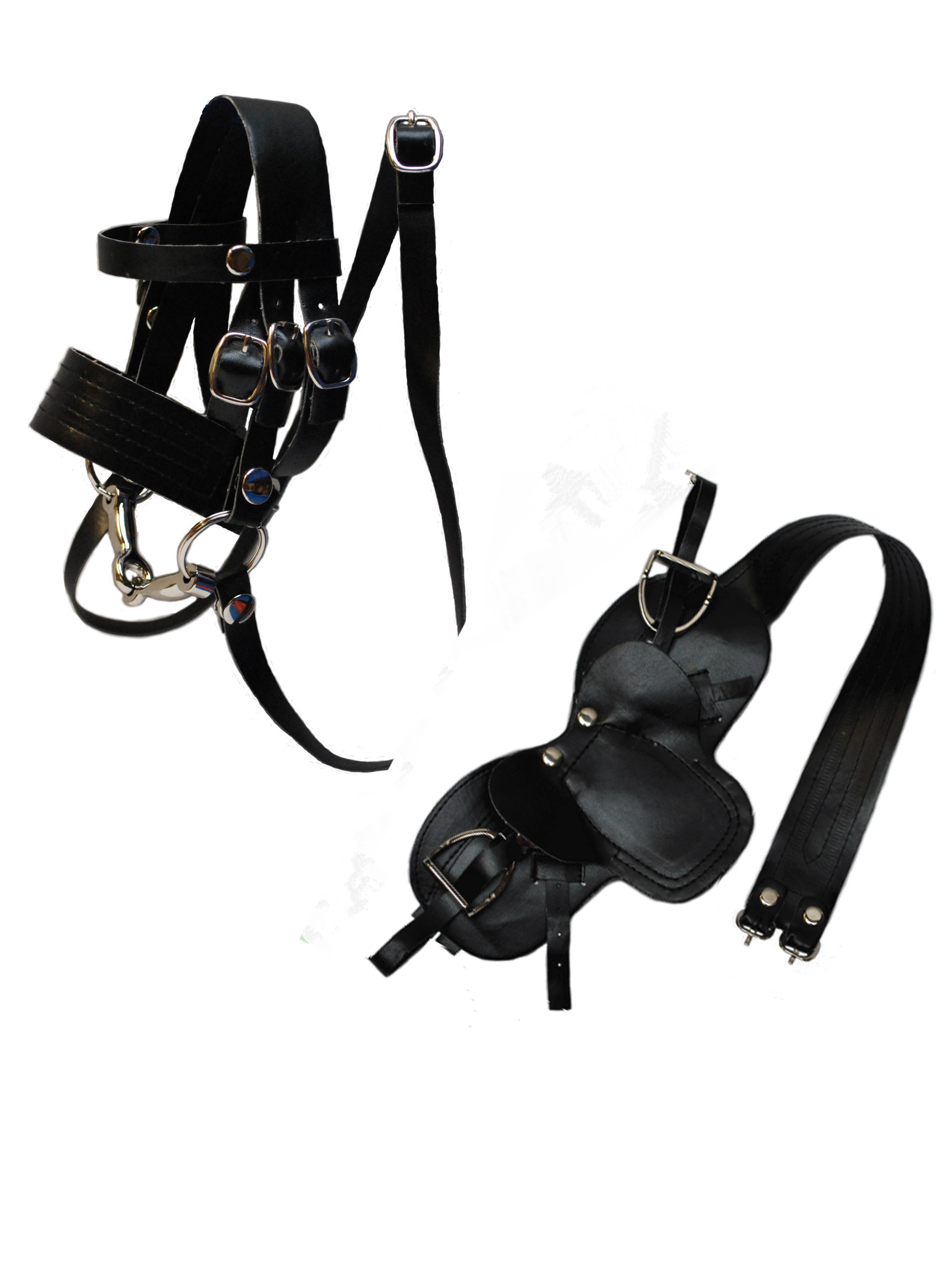 Crafty Ponies Doll Equestnically and Saddle British Design Equestrian Teaching Tools