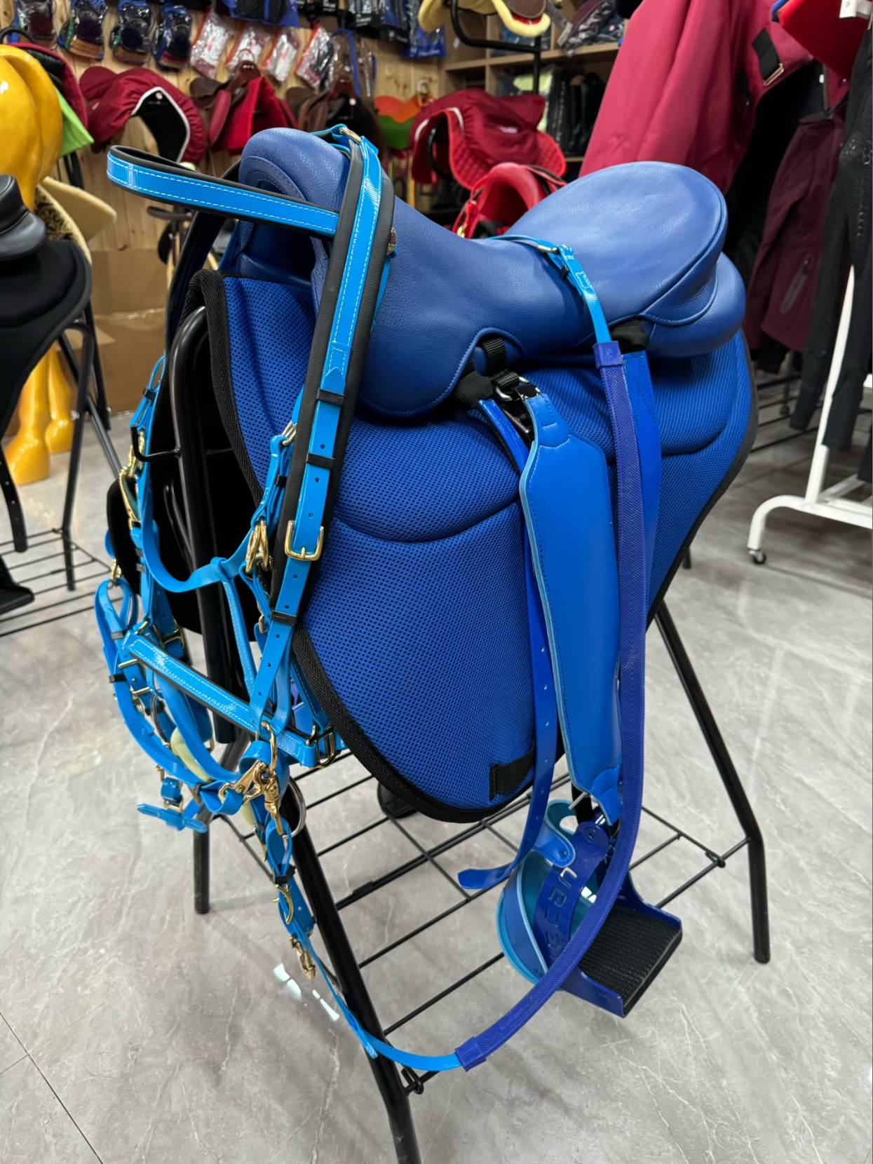 The saddles, the sublime pelvis