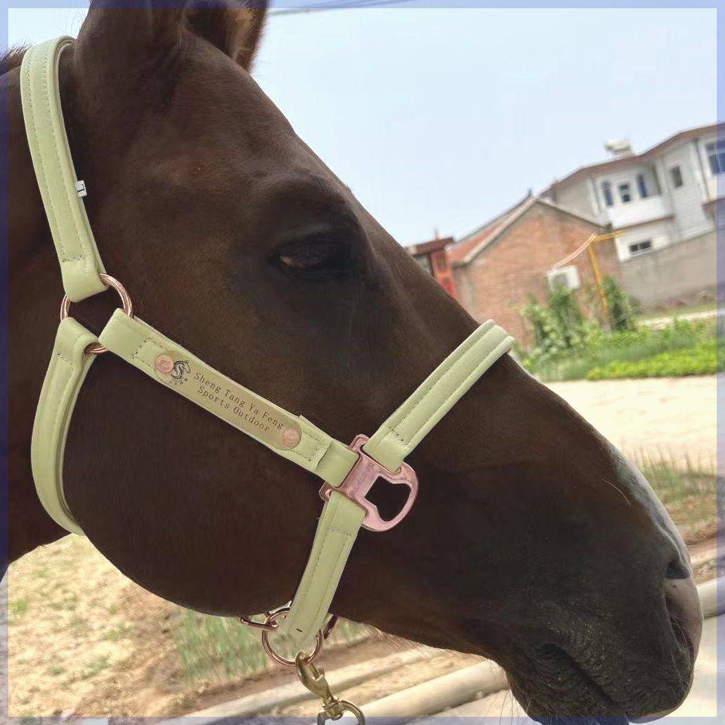 The saddles, the horses, the horses, the horses, the steel