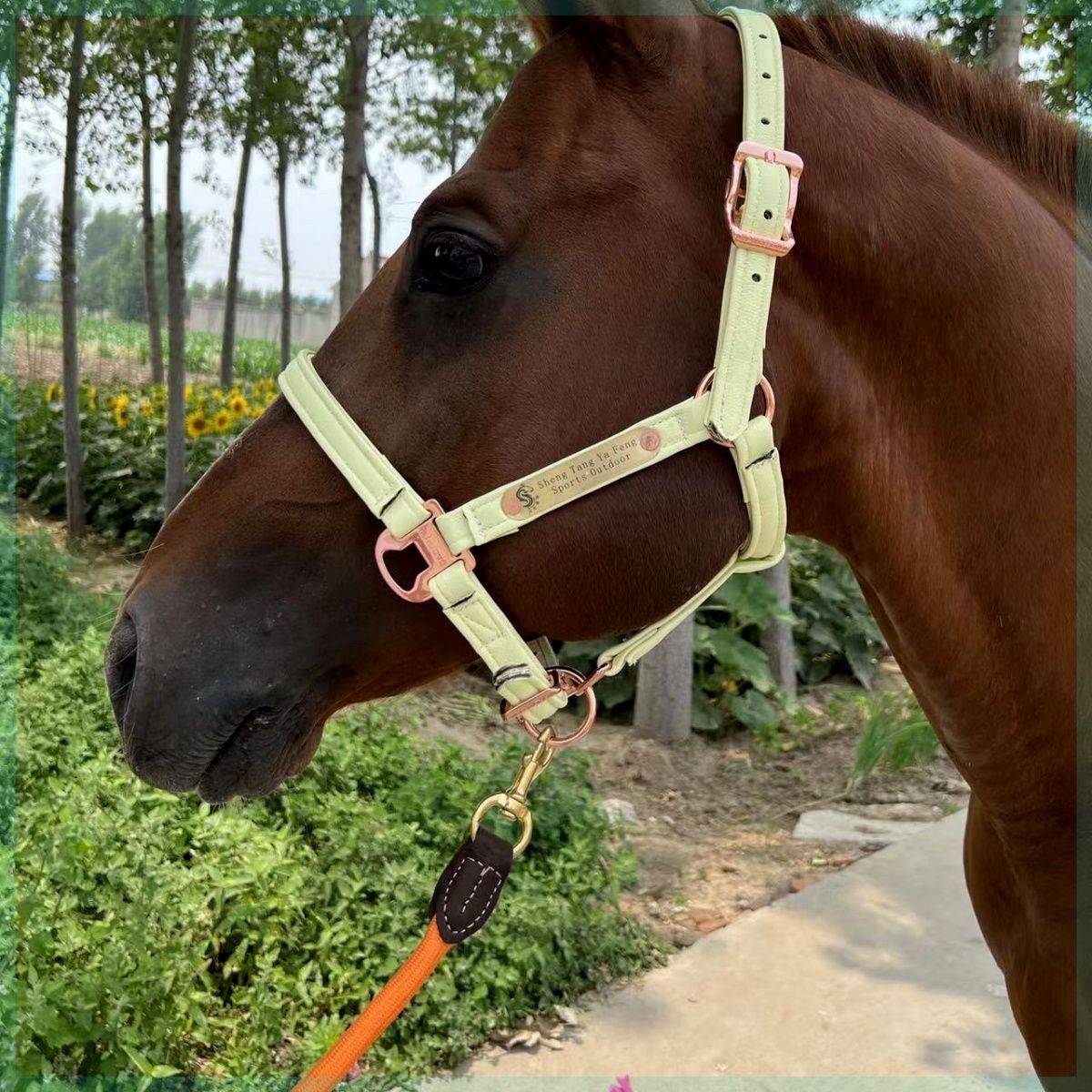 The saddles, the horses, the horses, the horses, the steel