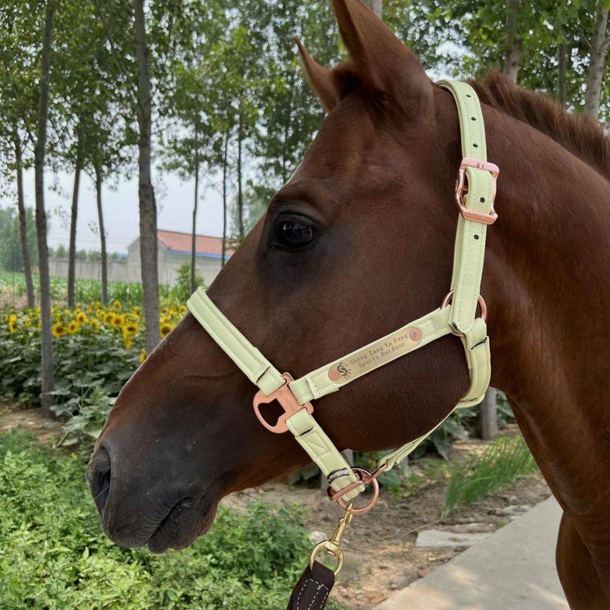 The saddles, the horses, the horses, the horses, the steel