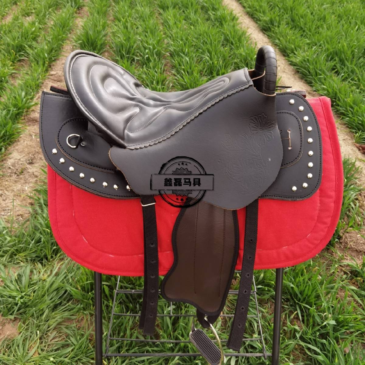 The saddles, the saddles, the new cow-skins, the saddles, the horses, the mail
