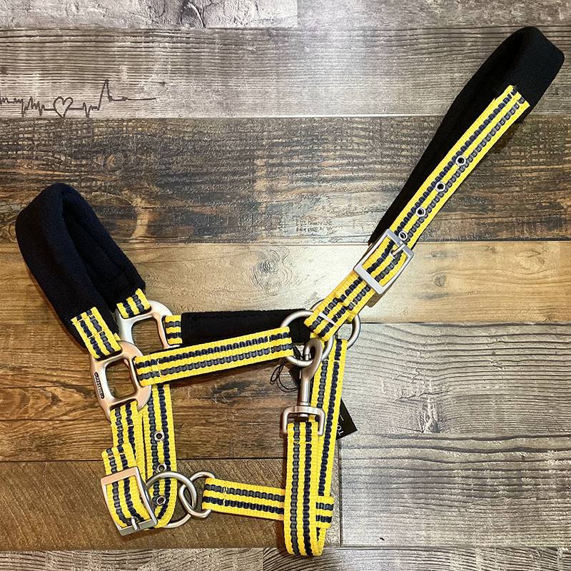MEDIUM YELLOW (COB)
