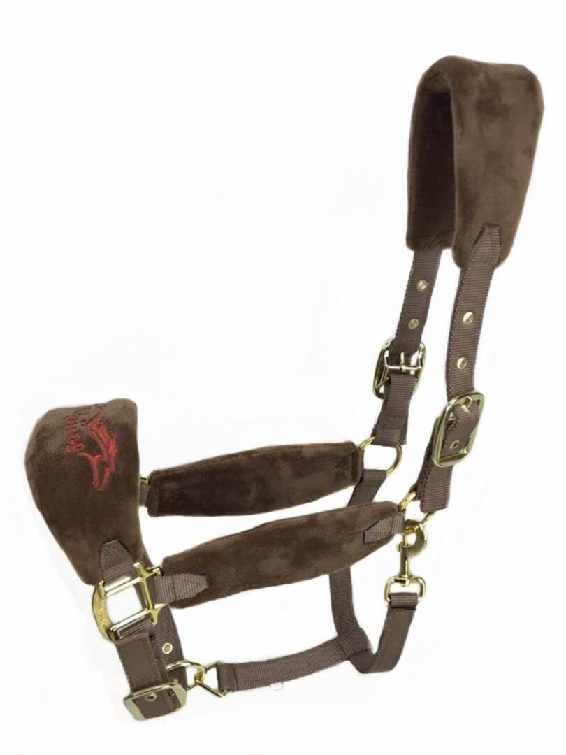The new color for the pony head is to teach the size of the pony to chew the pony head for promotion