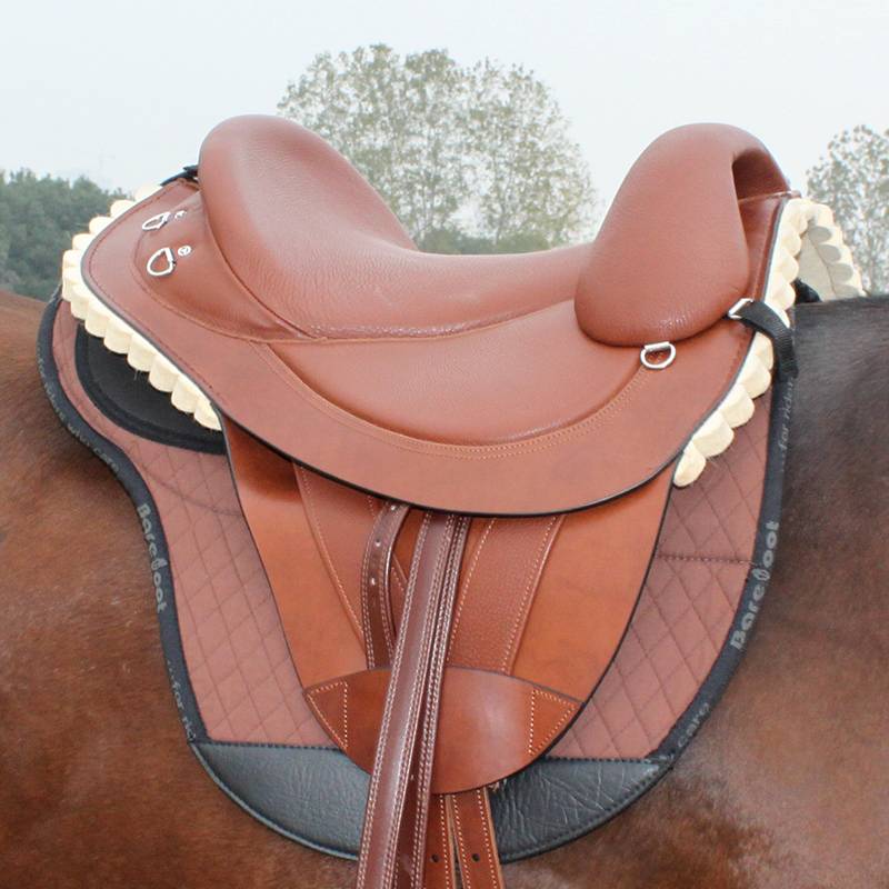 Horse saddles ride horse saddles long distances ride horse saddles ride horse saddles 8-foot-long horse gears