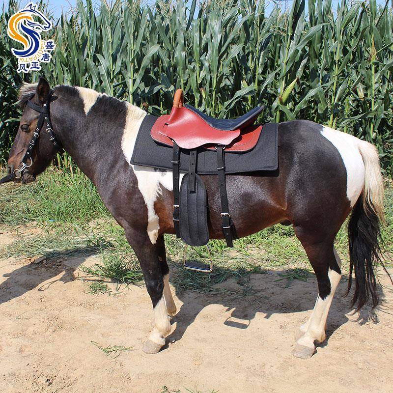 The saddles are full of horses, the new horse-skin tourists, the saddles, the horse-carves