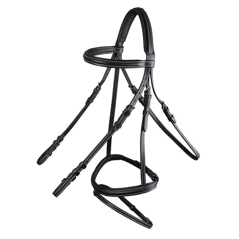 A saddle-strangled saddle-stamped saddle-head metal-skinned, eight-foot horse-skin pelt
