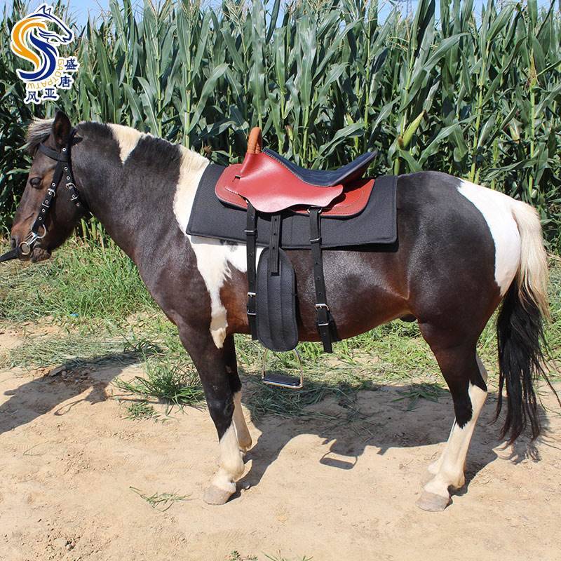 Malaysian saddles full set of kraft new tourist saddle Sadeware, dwarf horse, horses, horses horses, endurance saddles