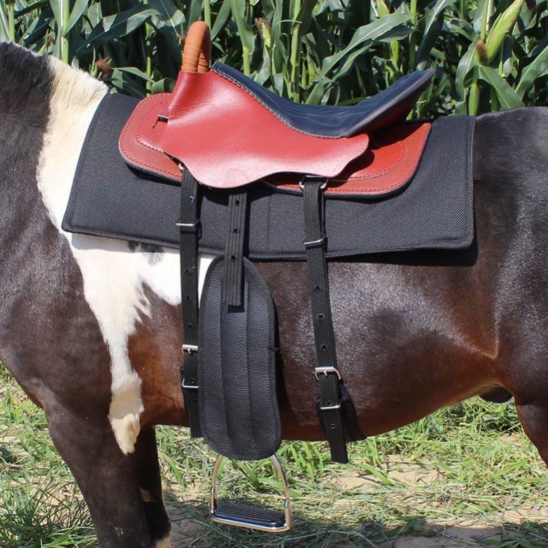Red pony saddle + line, all set