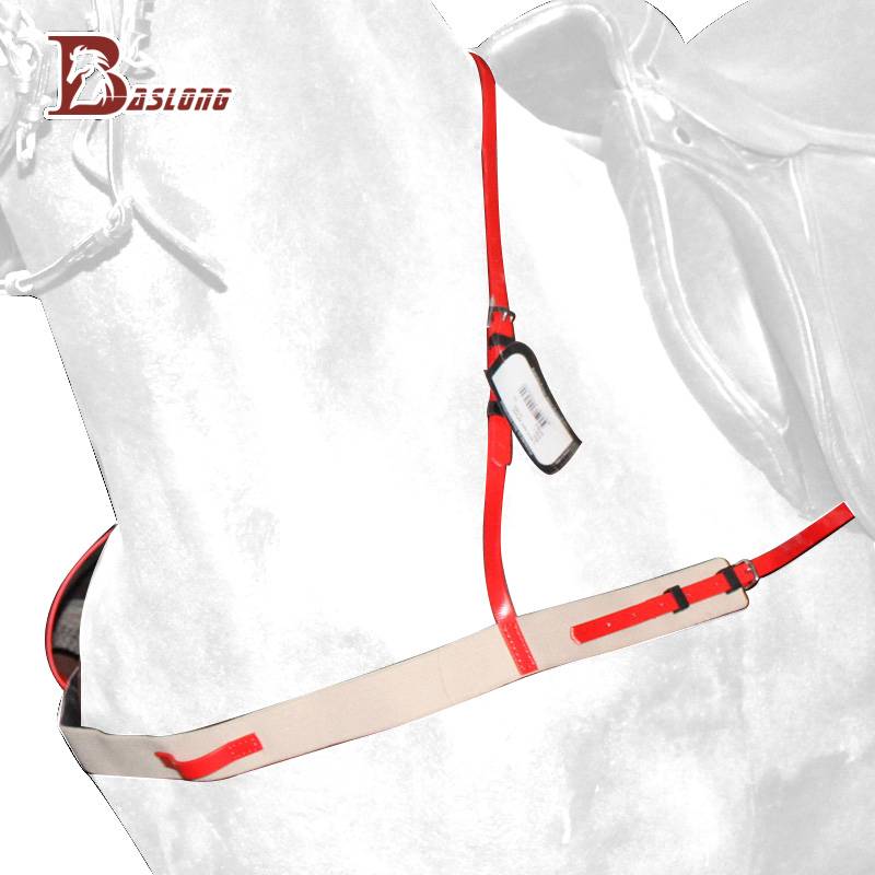 A horse's ex-burst, horse's gear, horse's saddles, eight-foot dragons
