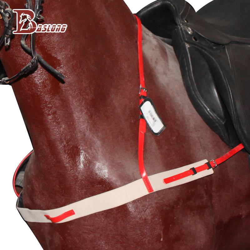 A horse's ex-burst, horse's gear, horse's saddles, eight-foot dragons