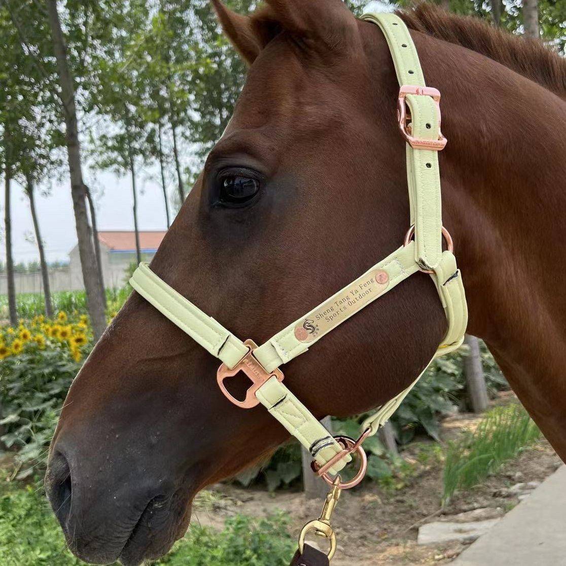 Gloge's saddle, horses horses horses horses horses horses, horses, leading horse leader bronze medal super fibrous skin material