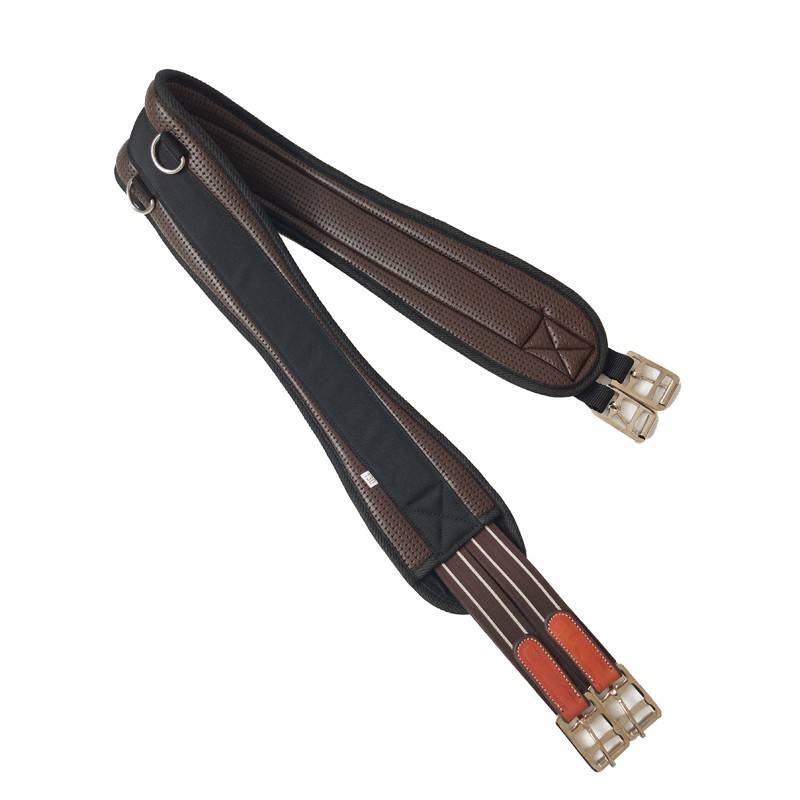 THE TUMMY BELT OF THE HORSE, THE TUMMY BELT OF THE FROG, THE TUMMY BELT OF THE HORSE SADDLE, THE TUMMY BELT OF THE HORSE