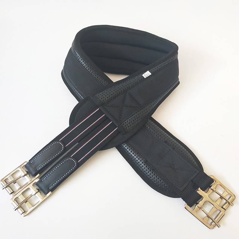 THE TUMMY BELT OF THE HORSE, THE TUMMY BELT OF THE FROG, THE TUMMY BELT OF THE HORSE SADDLE, THE TUMMY BELT OF THE HORSE