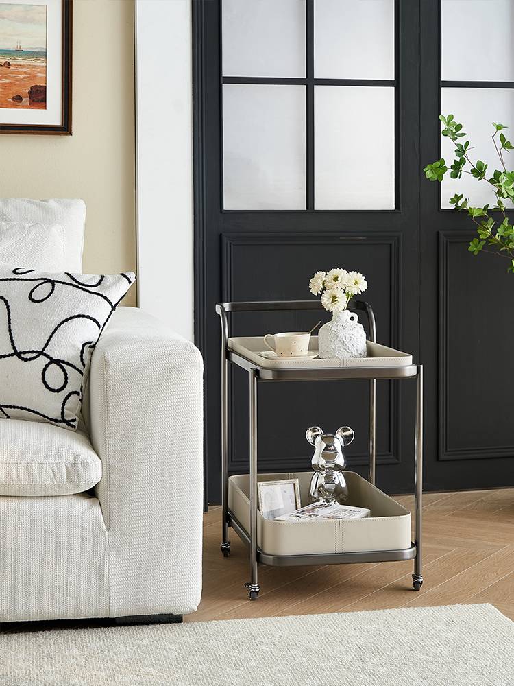 Light luxurious saddles moving a few little carts by the sofa