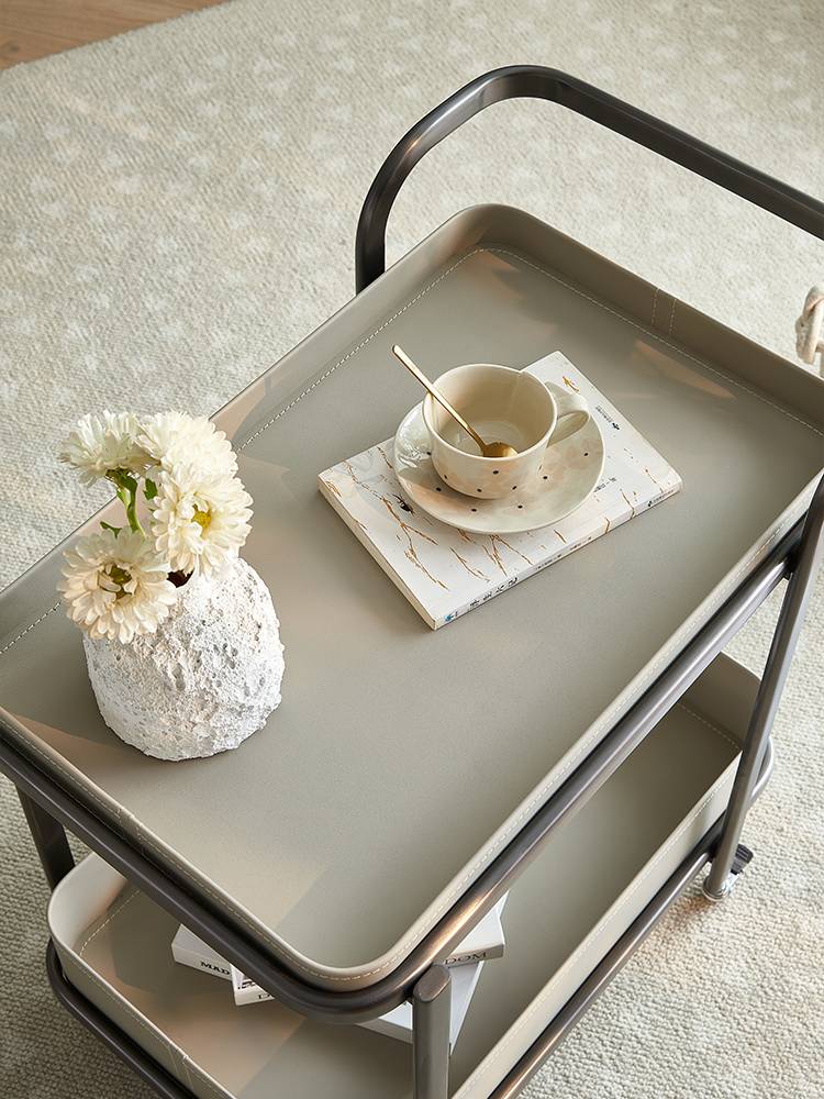 Light luxurious saddles moving a few little carts by the sofa