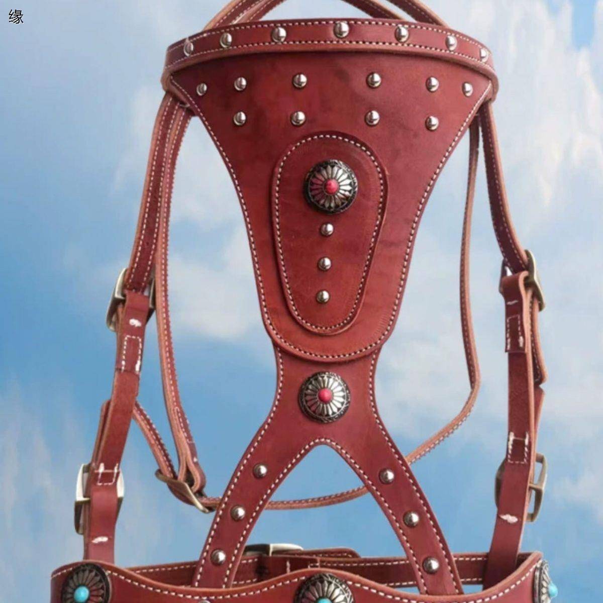 The leather western fork saddle accessories horses in the winter horse's full set of horseshole full sets of zero