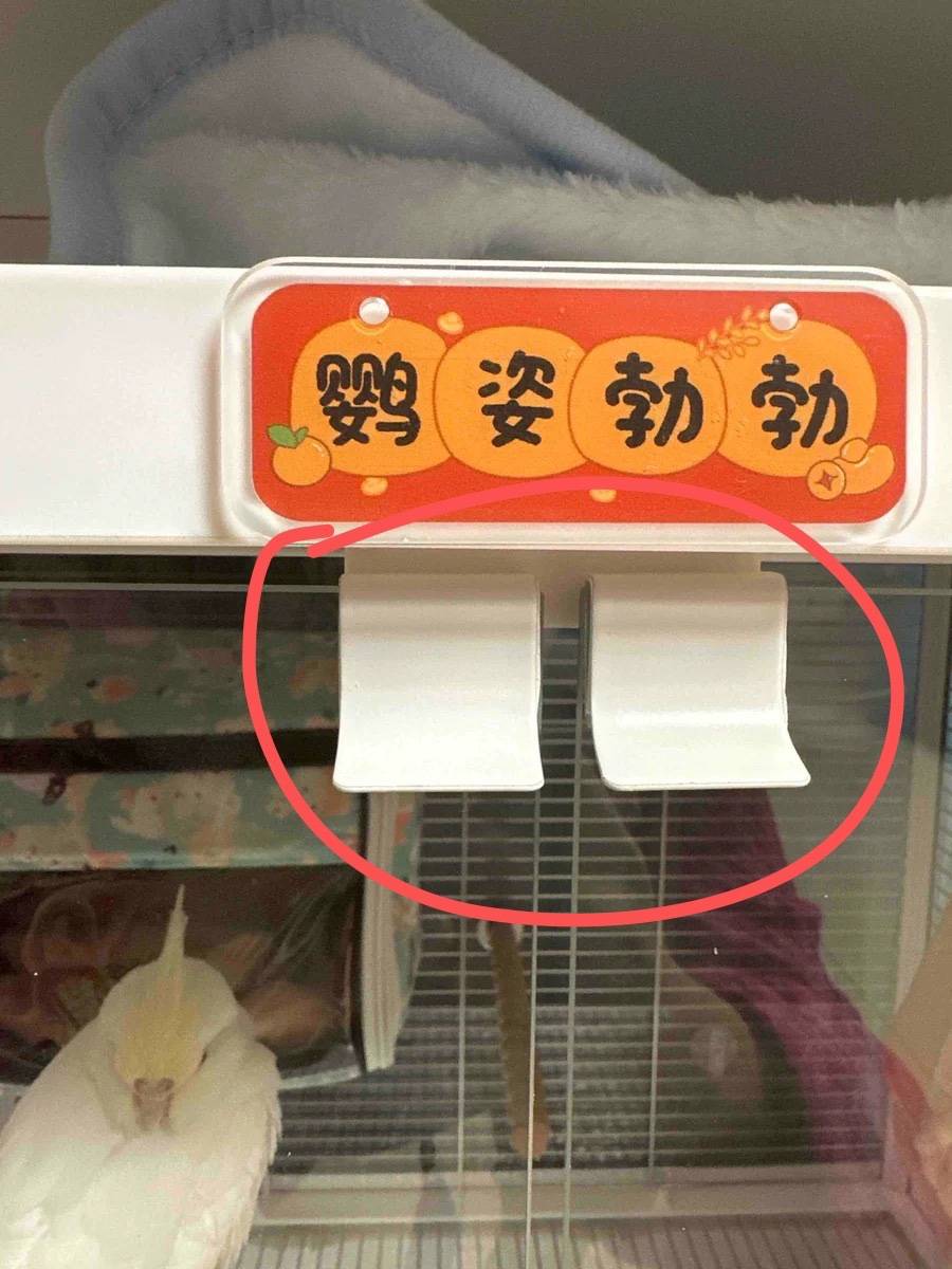 B6001 bird cage door handle sticky glue does not retreat accessories Dayang bird cage accessories 4001 glass top cover