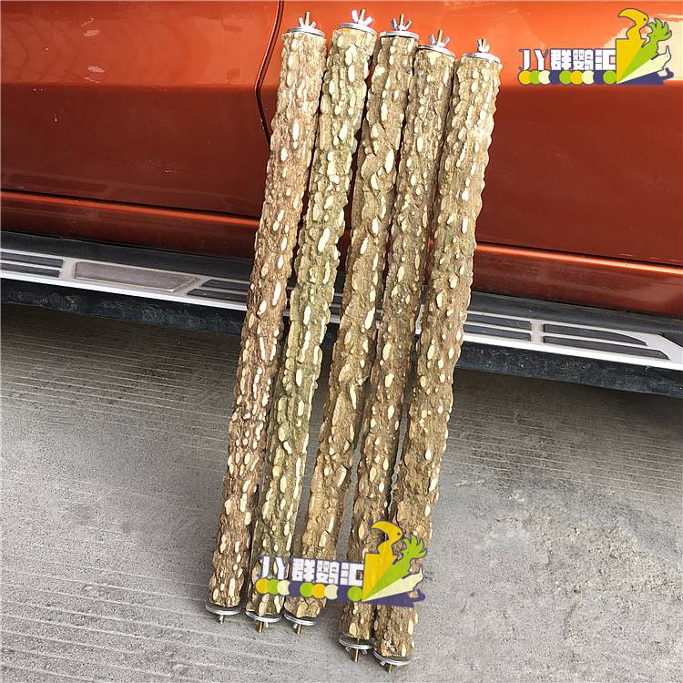 Pepper Wood Stending Polle Brother Blower Policyer Flower Flower Flower Flower Flower Flower Flower Flower Flower, Flower, Flower, Flower, HS