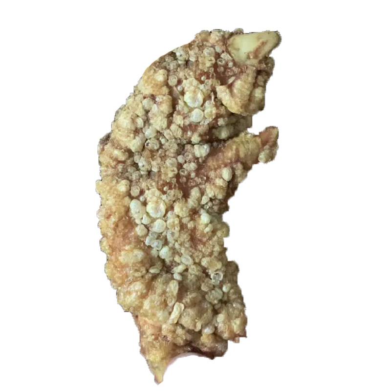 Liuzhou fried pig feet snails powder Guilin rice noodle opening shop business pork trotter screwdriver powder frying pig hands semi -finished products 50