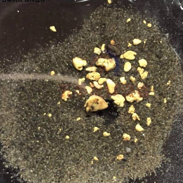 Gold Rush Plate Rink Golden Pen Popular Plastic Sand Amoy Washing Disk Portable River Sand Gold Equipment