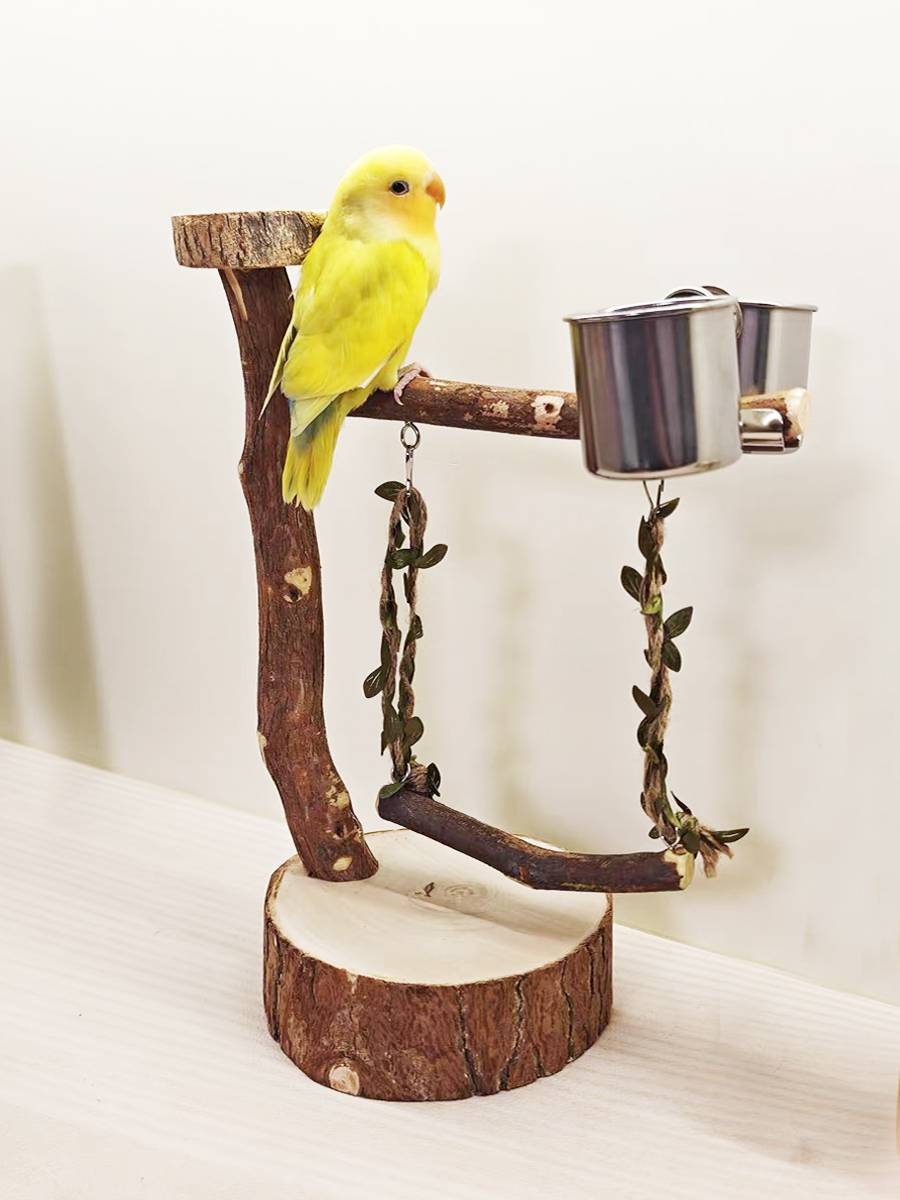 A bird station with a real tree and a parrot with a bird's troupe