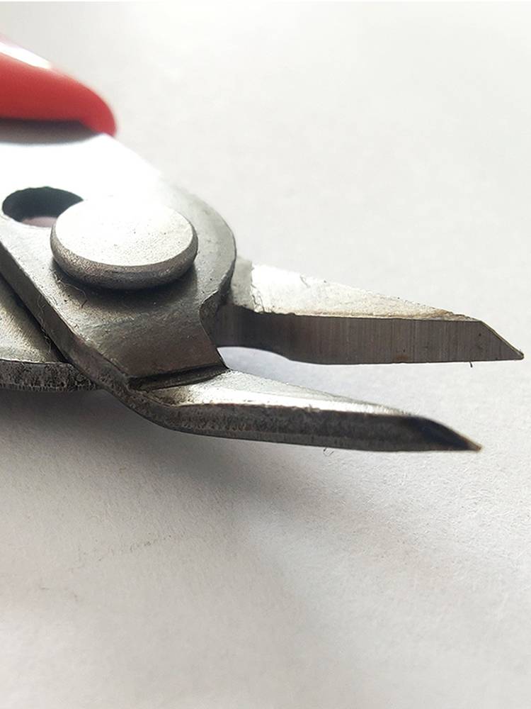 Dove-clip-clip-clip-clip-clip-clip-clip-clip-clip-clip-clip-clip-clip-clip-clip-clip-clip-clip