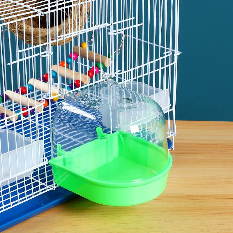 The bird with the cage parts paints the brow bath box with a small sunbath in the outside