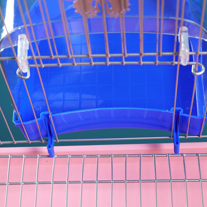 The bird with the cage parts paints the brow bath box with a small sunbath in the outside