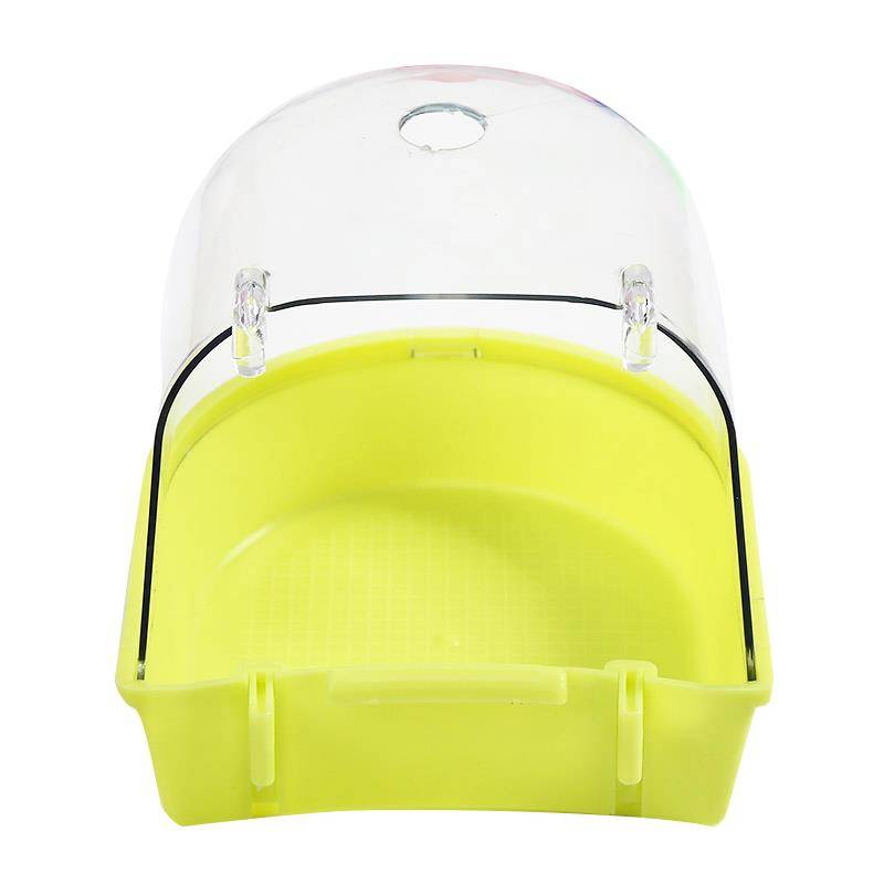 The bird with the cage parts paints the brow bath box with a small sunbath in the outside