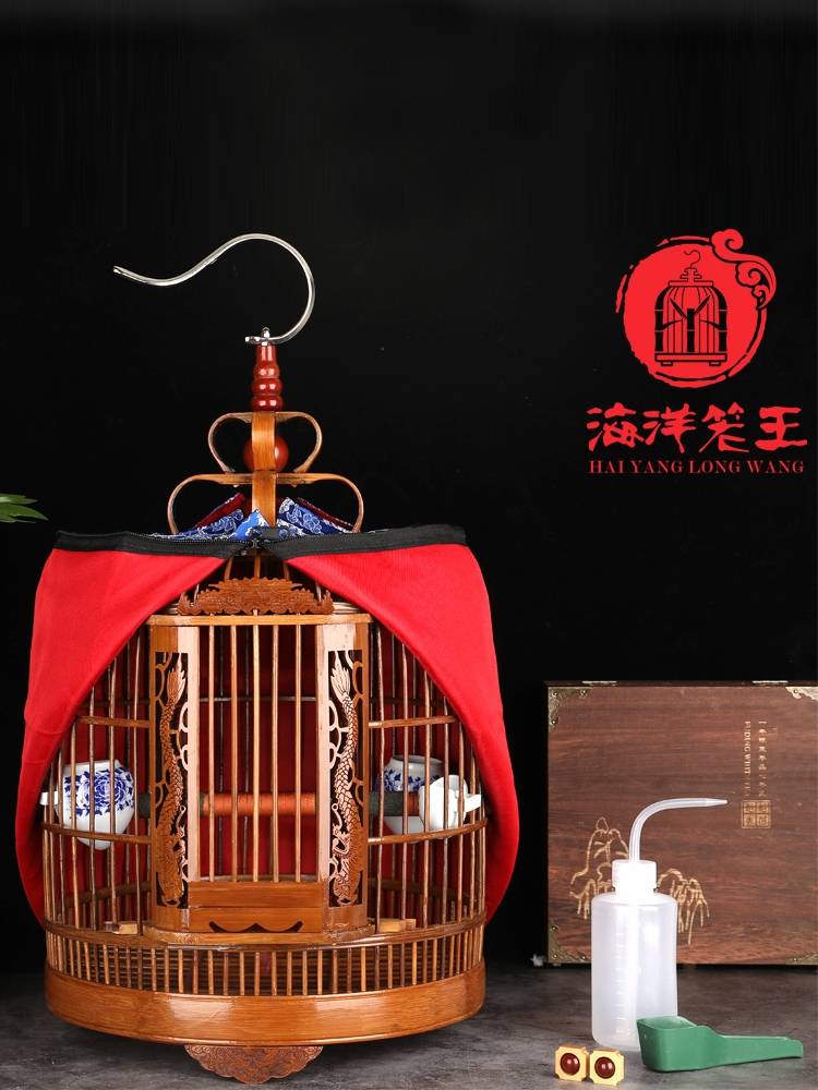 Guizhou draws a full set of seabirds with all their accessories