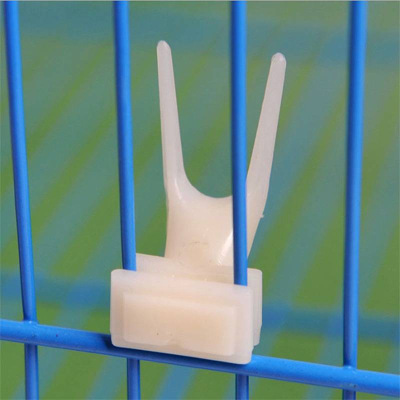 The parrot fruit fork plastic bird fed a edible cup with stainless steel and veggies