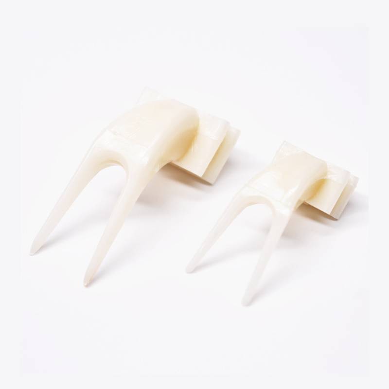 The parrot fruit fork plastic bird fed a edible cup with stainless steel and veggies