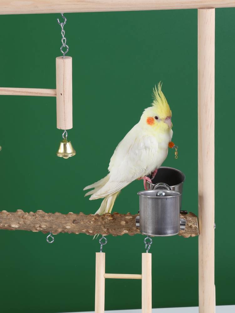♪ Tiger-skinned unicorn phoenix parrots stand on a chain-crawl grinder ♪