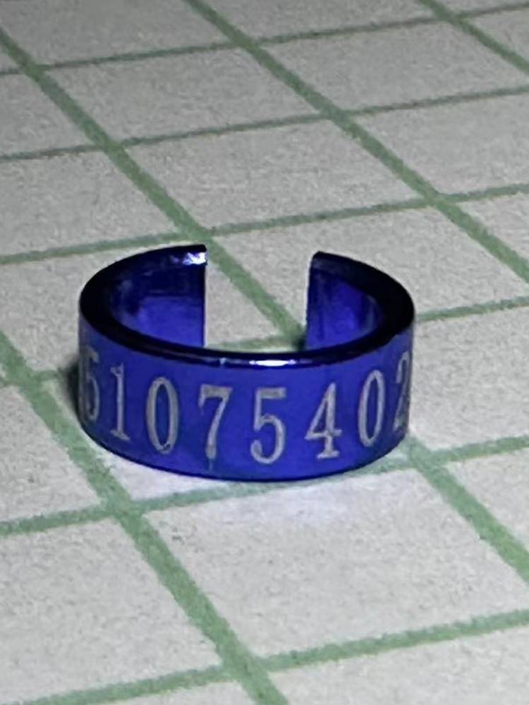 Brother Jeremiac, Magnolia, Peony, Xuanfeng Tiger Skin Aluminum Alloy, opens the mouth, the foot ring ring, bird ring