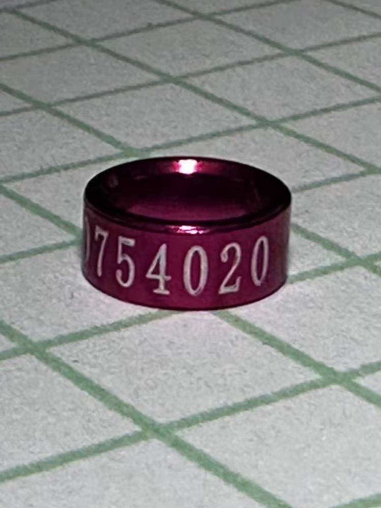 Brother Jeremiac, Magnolia, Peony, Xuanfeng Tiger Skin Aluminum Alloy, opens the mouth, the foot ring ring, bird ring