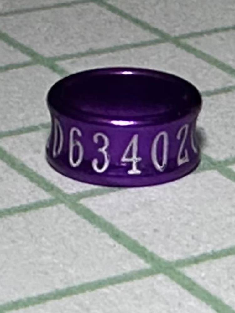 Brother Jeremiac, Magnolia, Peony, Xuanfeng Tiger Skin Aluminum Alloy, opens the mouth, the foot ring ring, bird ring