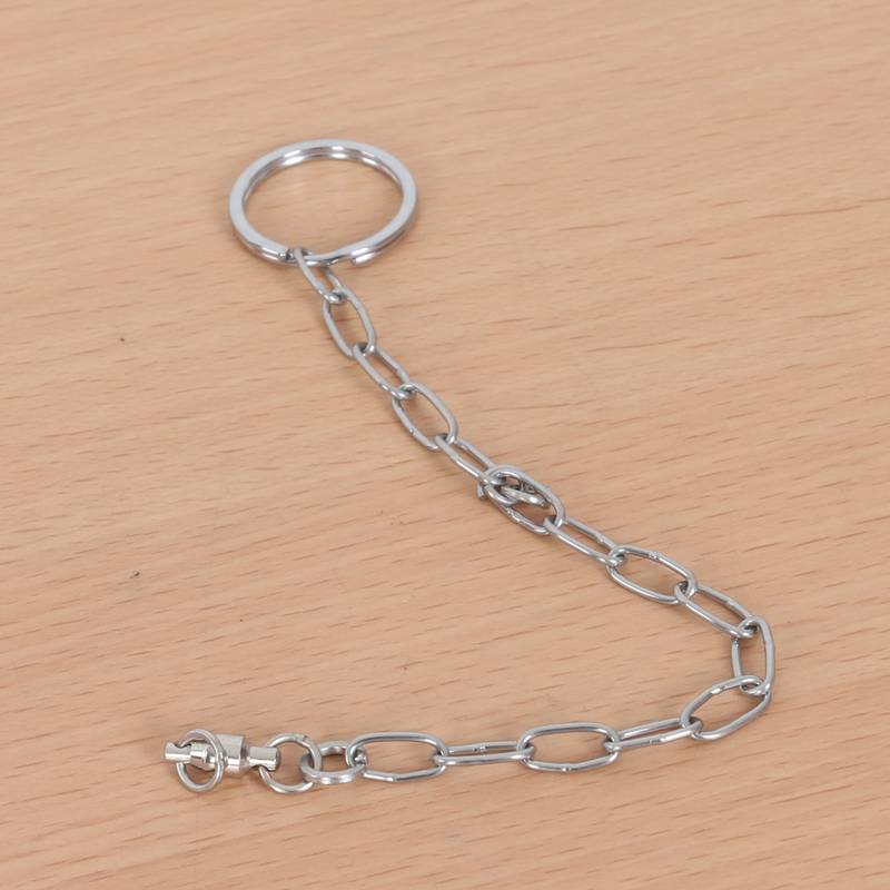 Magpie Grandma Little Sun Xuanfeng Peony Gray Parrot Stainless Steel Live Bird Bird Chain Parrot Foot Bind Chain