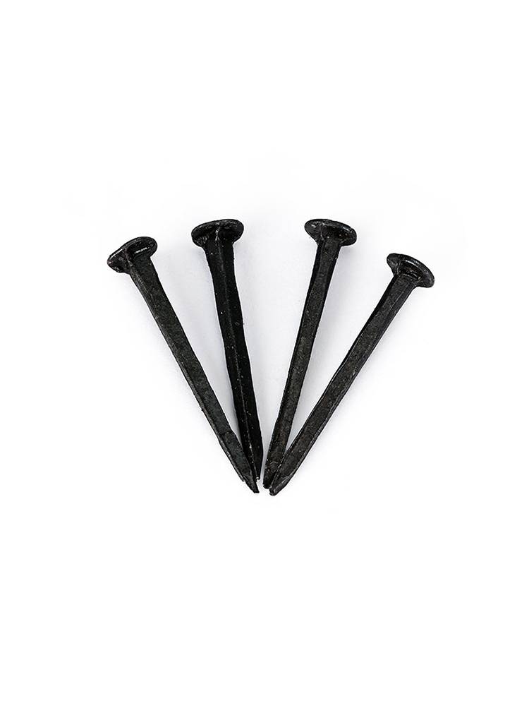 Black shoe nails, little nails, small wooden plasters, trim nails