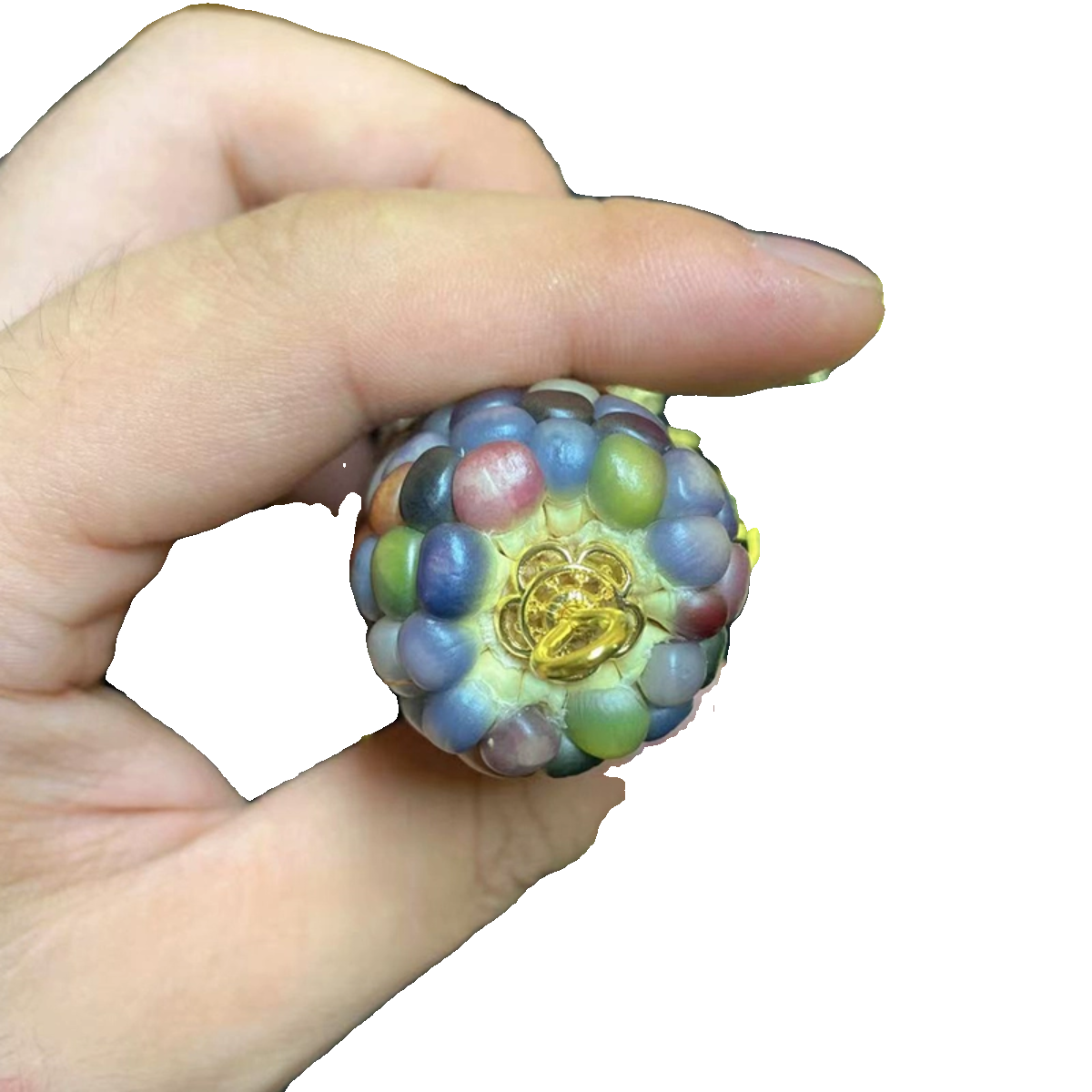 Wenwan corn care accessories Wenwan corn accessories accessories 14K electrical color insurance craftsmanship