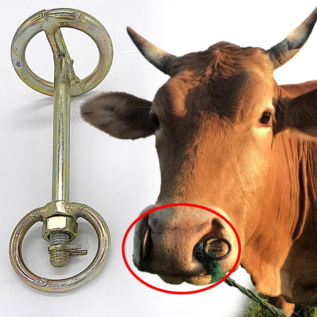 Bull nasal plug blocked head rotor half -hoof nose ring ring