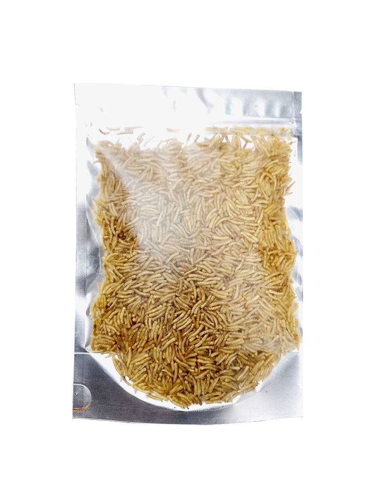 The maggot-dry-dry-dry-dry-dry-dry-dry-dick-dry-dry-dry-dry-dry-dry-dry-dry-dry-dry-dry-dry-dry-dry-dick-dry-dry-dry-dry-dry-dry-dry-dry-dry-dry-dry-dry-dry-dry-dry-dick-dry-dry-dick-dry-dry-dry-dry-dry-dick-dry-dry-dry-dry-dum-dum-dry-dum-dum-dum-dum-dry-dum-dum-dum-dry-dry-dum-dum-dum-dum-dum-dum-dry-dum-dum-d-d-dry-dry-dum-dry-dook-d-d-d-d-d-